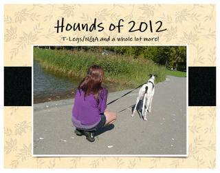 Hounds of 2012