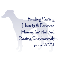 Logo Hound
