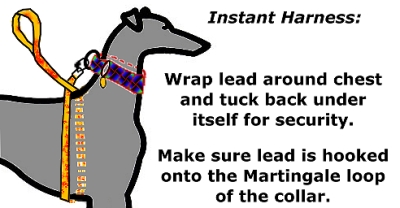 instant harness with a lead