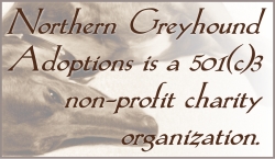 non-profit status