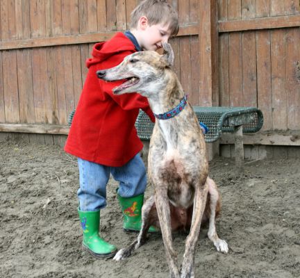 boy grooming dog